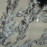 Iced branches at the top of tree
